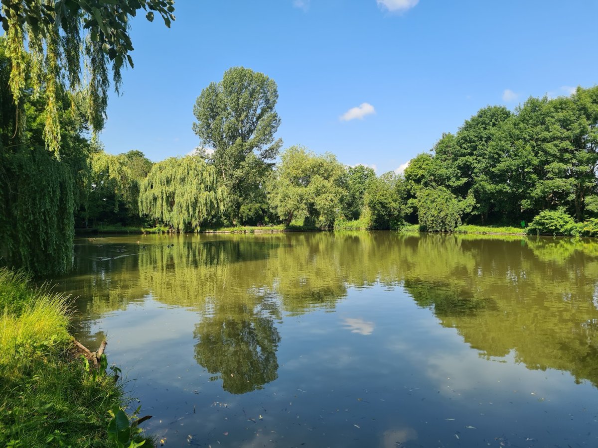 Prodej domů Horoměřice